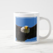 Weißkopfseeadler Flug nah Jumbo-Tasse (Rechts)