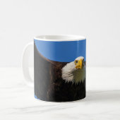 Weißkopfseeadler Flug nah Kaffeetasse (Vorderseite Links)