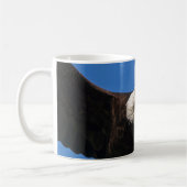 Weißkopfseeadler Flug nah Kaffeetasse (Links)