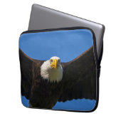Weißkopfseeadler Flug nah Laptopschutzhülle (Vorderseite Links)