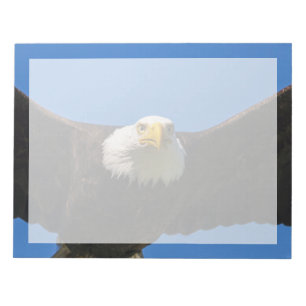 Weißkopfseeadler Flug nah Notizblock
