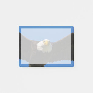 Weißkopfseeadler Flug nah Post-it Klebezettel