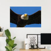 Weißkopfseeadler Flug nah Poster (Heimbüro)