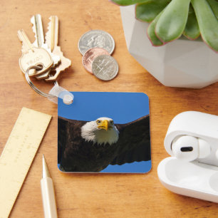 Weißkopfseeadler Flug nah Schlüsselanhänger