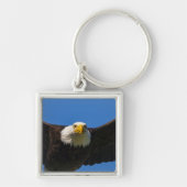 Weißkopfseeadler Flug nah Schlüsselanhänger (Vorne)