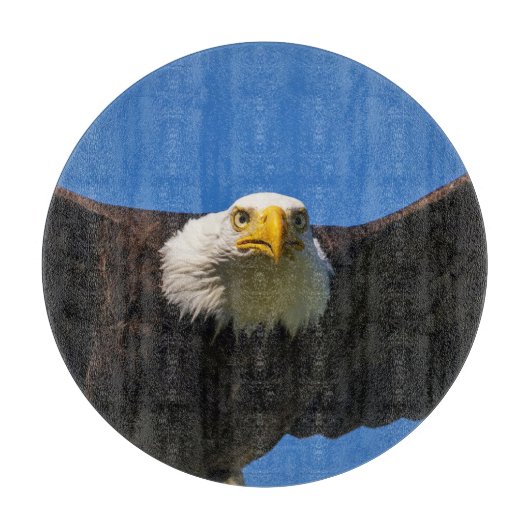 Weißkopfseeadler Flug nah Schneidebrett (Vorderseite)