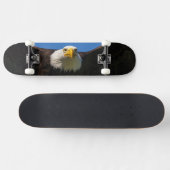 Weißkopfseeadler Flug nah Skateboard (Horizontal)