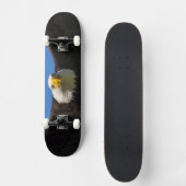 Weißkopfseeadler Flug nah Skateboard (Vorderseite)