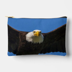 Weißkopfseeadler Flug nah Zubehörtasche