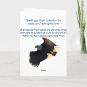 Weißkopfseeadler-freier Feiertagskarte (Rückseite)