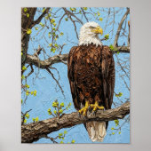 Weißkopfseeadler-Frühlingszweig-Kunst Poster (Vorne)
