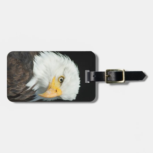 Weißkopfseeadler Gepäckanhänger (Vorderseite horizontal)