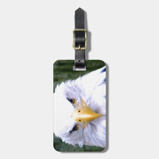 Weißkopfseeadler Gepäckanhänger (Vorderseite vertikal)