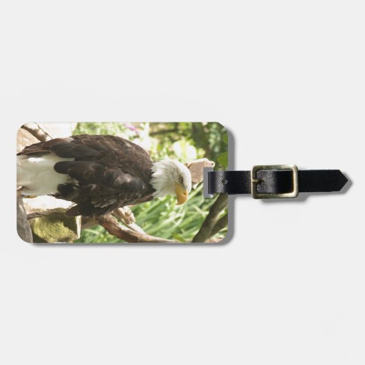 Weißkopfseeadler Gepäckanhänger (Vorderseite horizontal)