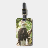 Weißkopfseeadler Gepäckanhänger (Vorderseite vertikal)