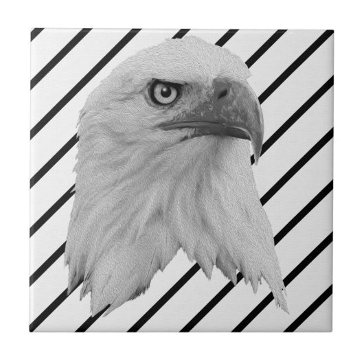 Weißkopfseeadler-Gesicht Ölfarbe, Fliese (Vorderseite)