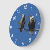 Weißkopfseeadler Große Wanduhr (Winkel)