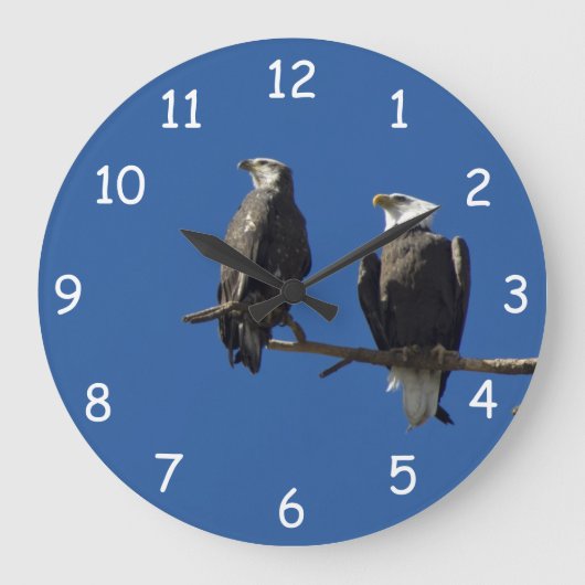 Weißkopfseeadler Große Wanduhr (Vorderseite)