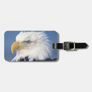 Weißkopfseeadler, Haliaeetus leuccocephalus, Gepäckanhänger