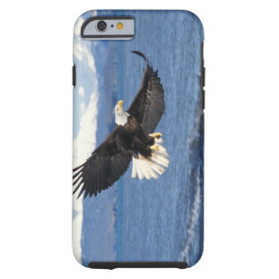 Weißkopfseeadler, Haliaeetus leuccocephalus, im Tough iPhone 6 Hülle