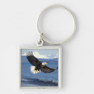 Weißkopfseeadler, Haliaeetus leuccocephalus, im Fl Schlüsselanhänger