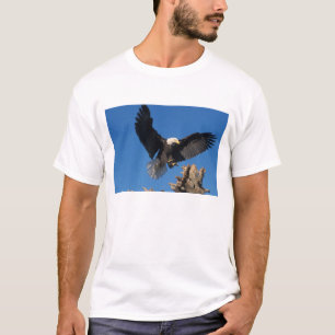 Weißkopfseeadler, Haliaeetus leuccocephalus, lande T-Shirt