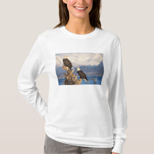 Weißkopfseeadler, Haliaeetus leuccocephalus, Paar T-Shirt