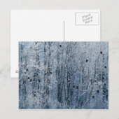 Weißkopfseeadler (Haliaeetus leucocephalus) an Postkarte (Vorne/Hinten)