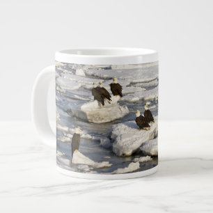 Weißkopfseeadler, Haliaeetus leucocephalus, Homer, Jumbo-Tasse