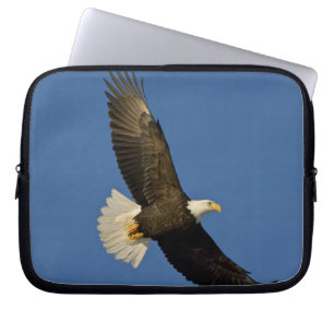 Weißkopfseeadler, Haliaeetus leucocephalus, Homer, Laptopschutzhülle