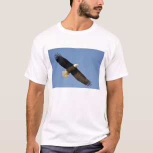 Weißkopfseeadler, Haliaeetus leucocephalus, Homer, T-Shirt