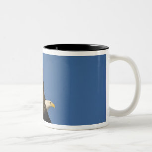 Weißkopfseeadler, Haliaeetus leucocephalus, Homer, Zweifarbige Tasse