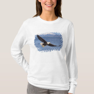 Weißkopfseeadler, Haliaeetus leucocephalus, im Flu T-Shirt