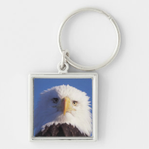 Weißkopfseeadler, Haliaeetus leucocephalus, Kopfau Schlüsselanhänger