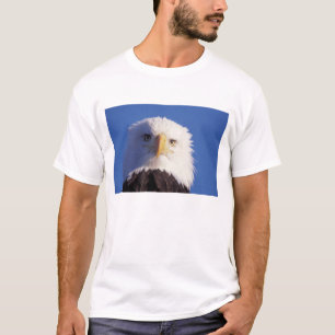 Weißkopfseeadler, Haliaeetus leucocephalus, Kopfau T-Shirt