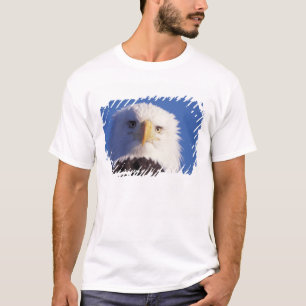 Weißkopfseeadler, Haliaeetus leucocephalus, Kopfau T-Shirt