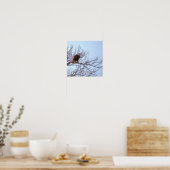 Weißkopfseeadler im Baum Poster (Küche)