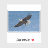 Weißkopfseeadler im Flug Aufkleber (Blatt)