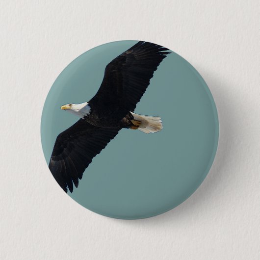 Weißkopfseeadler im Flug Button (Vorderseite)