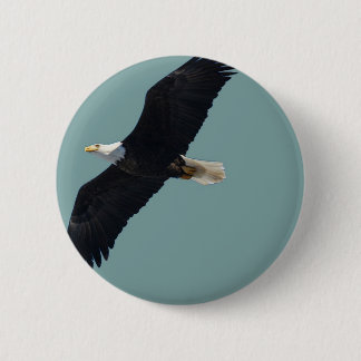 Weißkopfseeadler im Flug Button