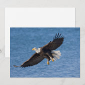 Weißkopfseeadler im Flug Dankeskarte (Vorne/Hinten)