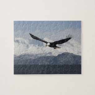 Weißkopfseeadler im Flug, Haliaeetus leucocephalus Puzzle