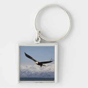 Weißkopfseeadler im Flug, Haliaeetus leucocephalus Schlüsselanhänger