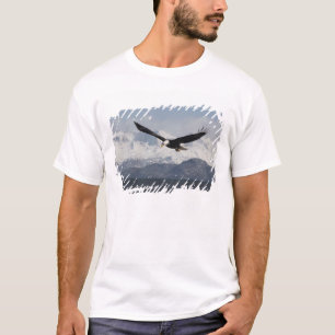 Weißkopfseeadler im Flug, Haliaeetus leucocephalus T-Shirt