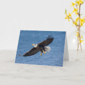 Weißkopfseeadler im Flug Karte (Gelbe Blume)