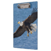 Weißkopfseeadler im Flug Klemmbrett (Links)