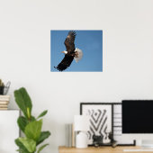 Weißkopfseeadler im Flug Poster (Heimbüro)
