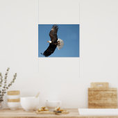 Weißkopfseeadler im Flug Poster (Küche)