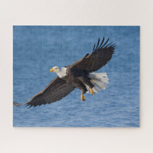 Weißkopfseeadler im Flug Puzzle