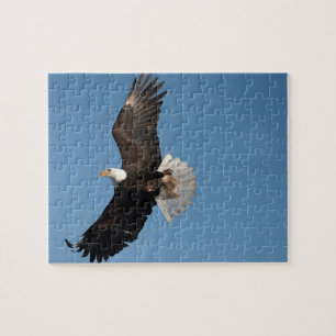 Weißkopfseeadler im Flug Puzzle